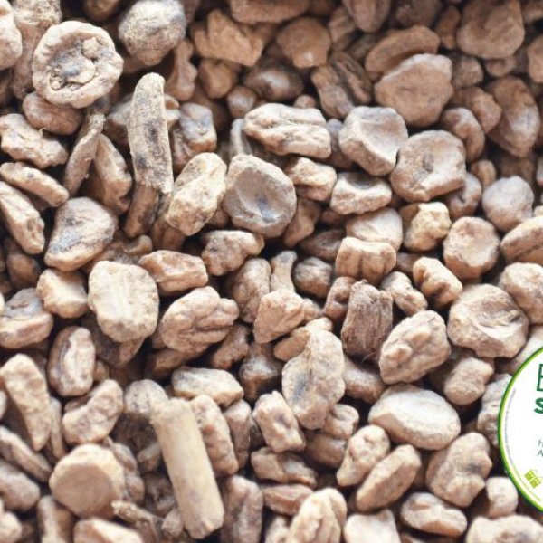 Imagen sobre El poder calorífico del hueso de aceituna