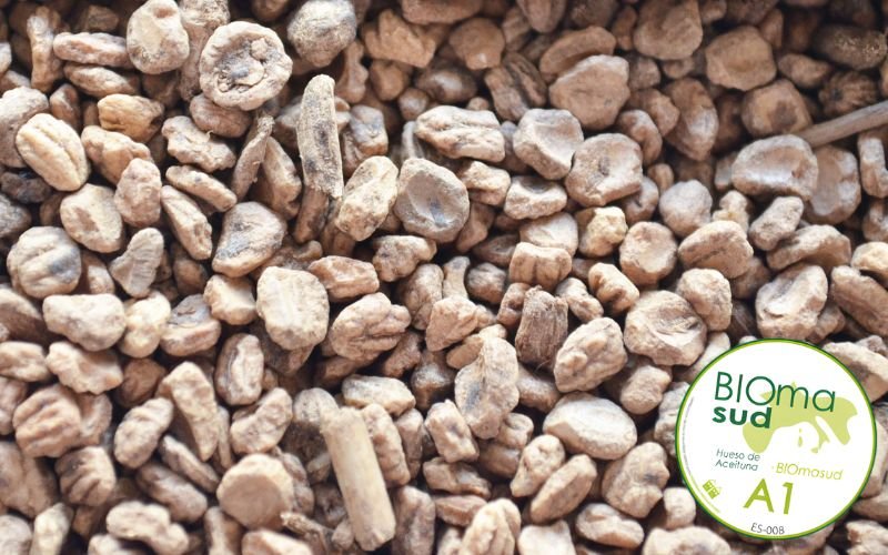 El poder calorífico del hueso de aceituna